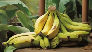 7 Passos para Plantar Banana da Maneira Correta