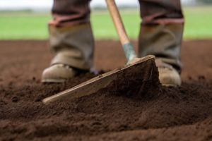 Um Solo Aerado é Mais Produtivo para as Plantações